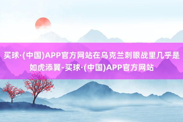买球·(中国)APP官方网站在乌克兰刺眼战里几乎是如虎添翼-买球·(中国)APP官方网站