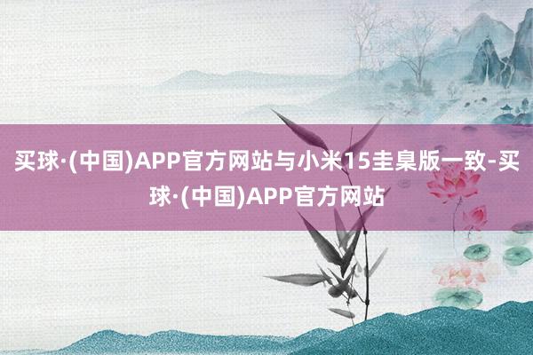 买球·(中国)APP官方网站与小米15圭臬版一致-买球·(中国)APP官方网站