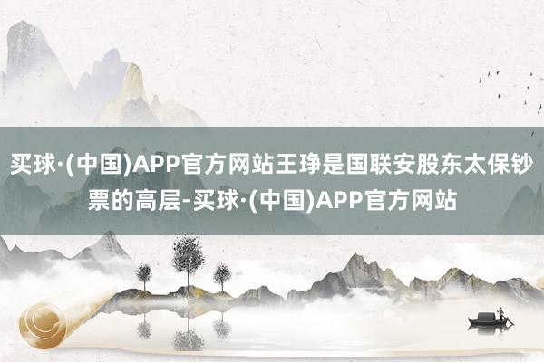 买球·(中国)APP官方网站王琤是国联安股东太保钞票的高层-买球·(中国)APP官方网站
