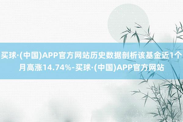 买球·(中国)APP官方网站历史数据剖析该基金近1个月高涨14.74%-买球·(中国)APP官方网站