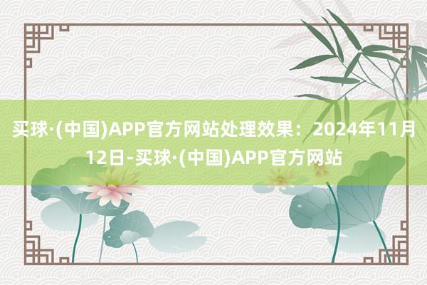 买球·(中国)APP官方网站处理效果：2024年11月12日-买球·(中国)APP官方网站