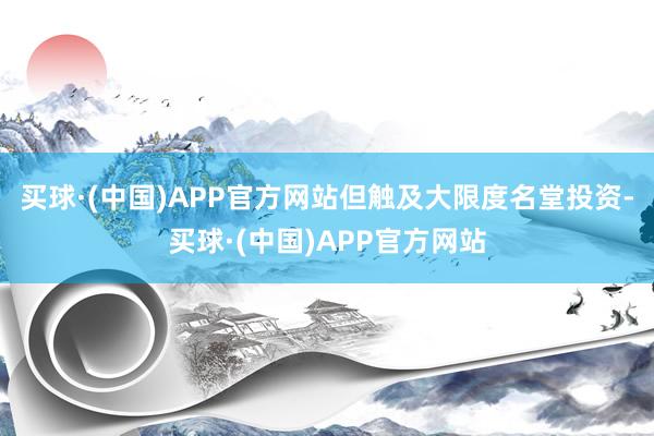 买球·(中国)APP官方网站但触及大限度名堂投资-买球·(中国)APP官方网站